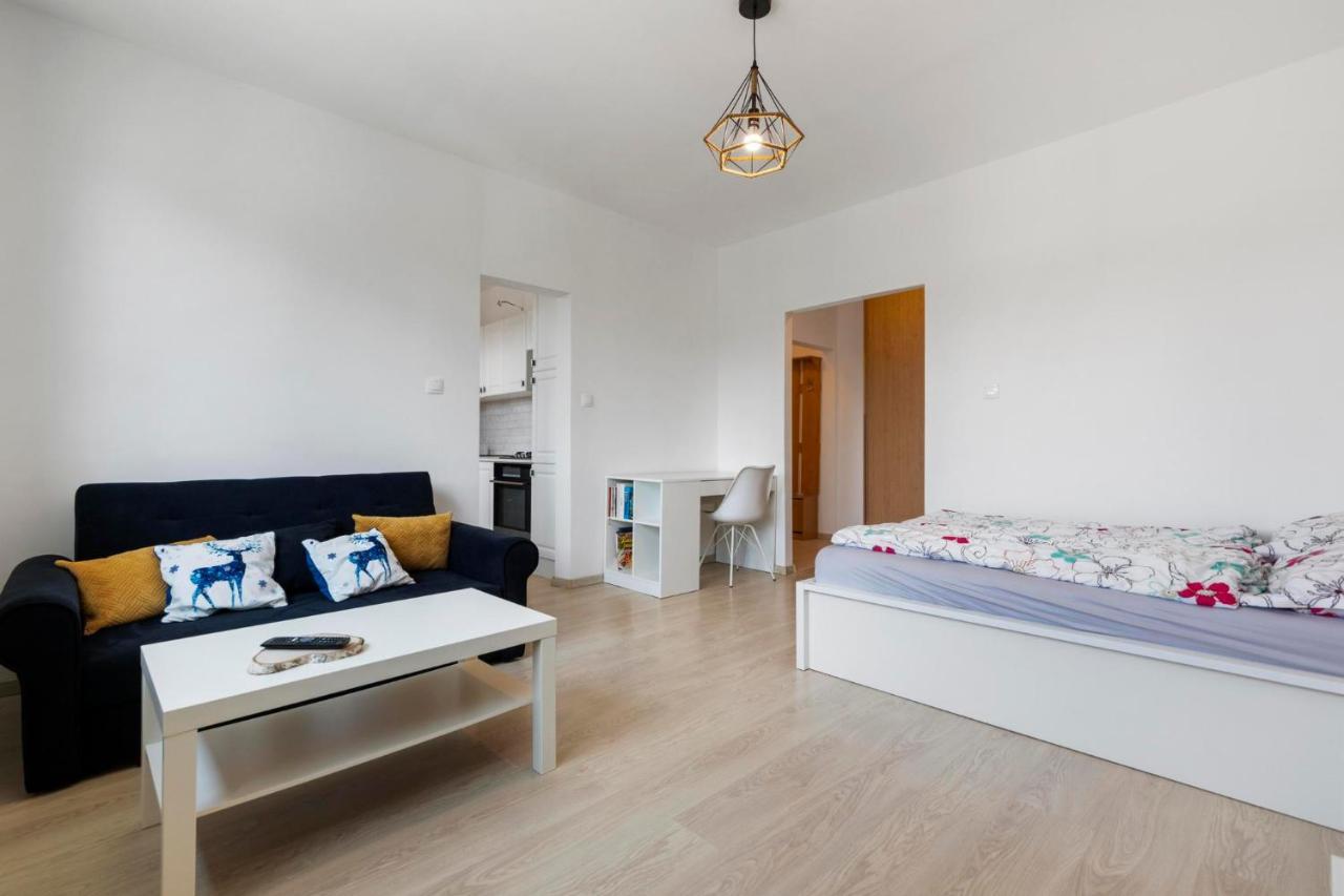 Apartment 20 Minutes From City Center W Netflix, Coffee Or Tea & Parking ブラチスラヴァ エクステリア 写真